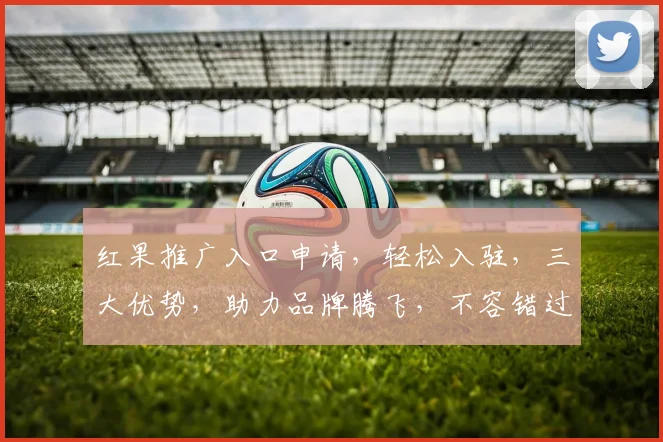 红果推广入口申请，轻松入驻，三大优势，助力品牌腾飞，不容错过，快来体验