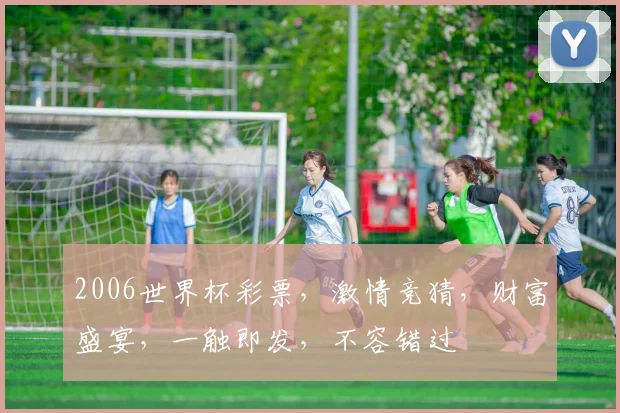 2006世界杯彩票，激情竞猜，财富盛宴，一触即发，不容错过
