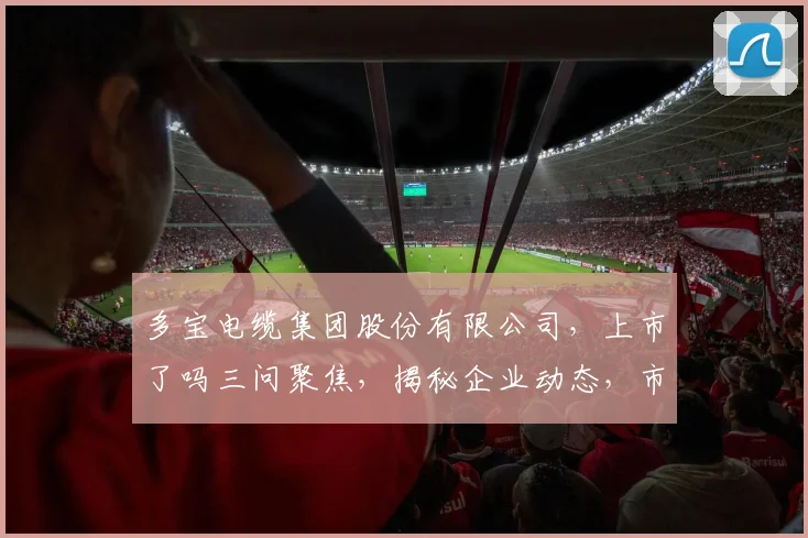多宝电缆集团股份有限公司，上市了吗三问聚焦，揭秘企业动态，市场关注