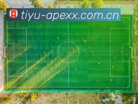 网球实时投注AppAPP 封面图